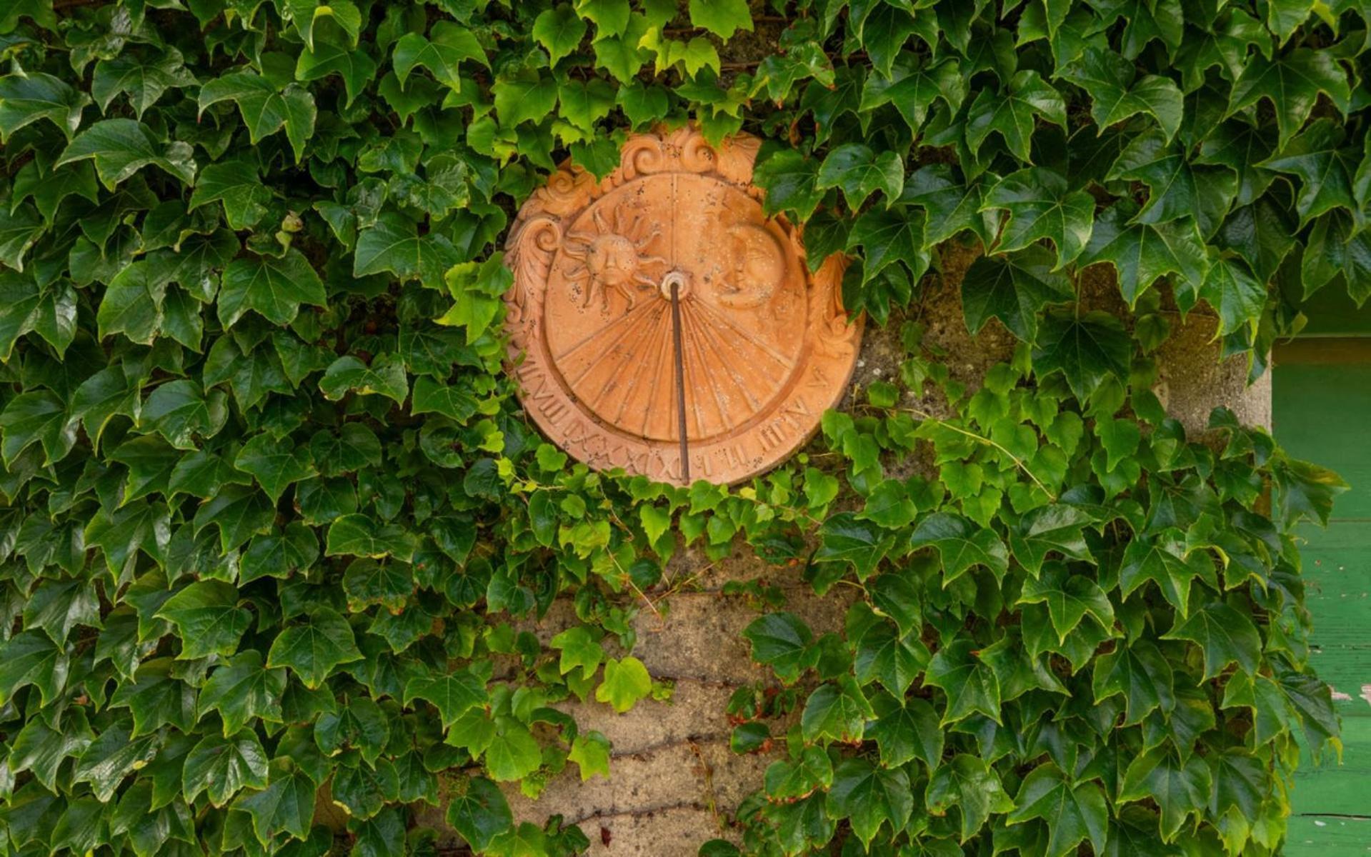 Agriturismo La Godiola Gioiella Exteriér fotografie
